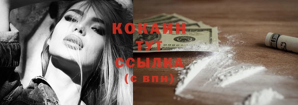 PSILOCYBIN Богданович