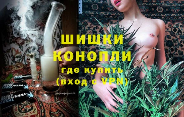 PSILOCYBIN Богданович