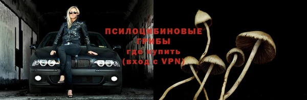 PSILOCYBIN Богданович