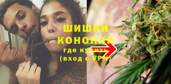 PSILOCYBIN Богданович