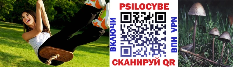 Псилоцибиновые грибы Psilocybe  Купить где  Мураши 